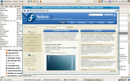 Fedora-fr_webkit